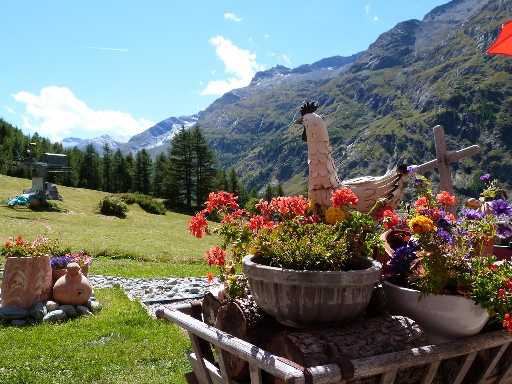 Ferienwohnung Silberdistel Saas-Grund Exterior foto